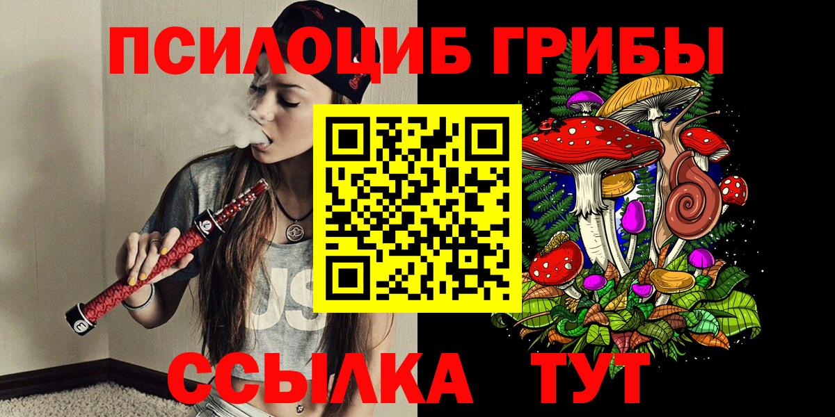 Галлюциногенные грибы Psilocybe Златоуст